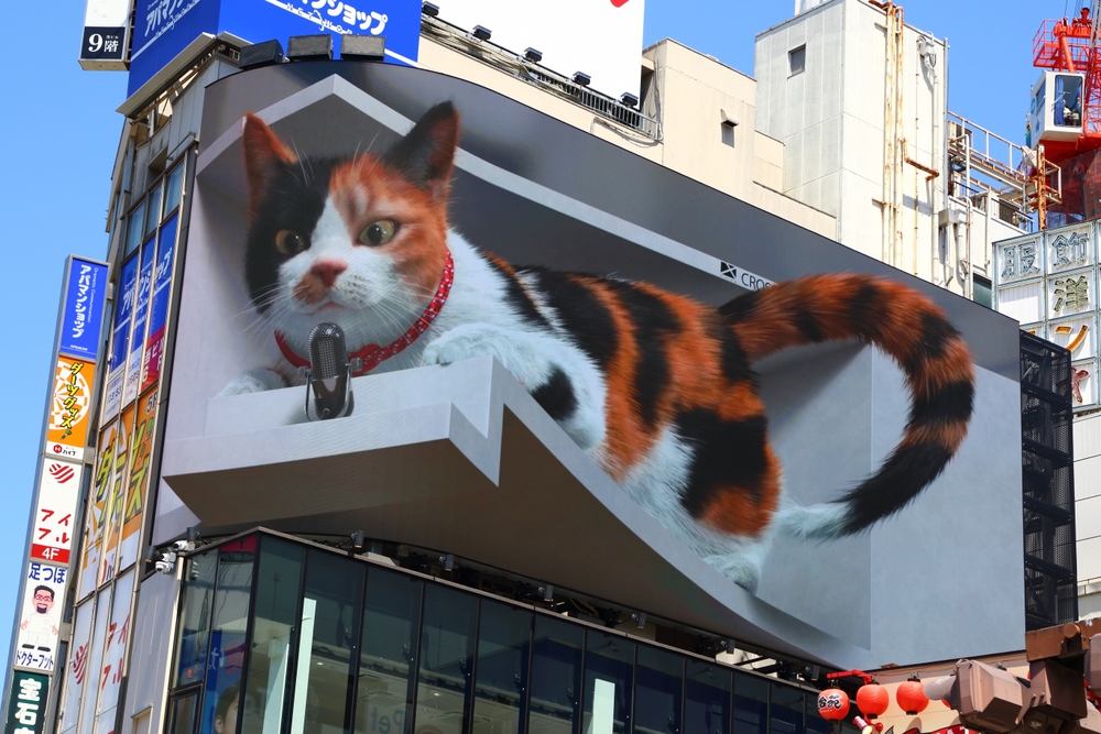 Ovi svetski gradovi imaju najviše uličnih mačaka - jedan je iz bivše Jugoslavije 2