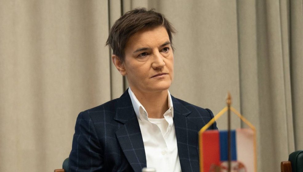 ANA BRNABIĆ