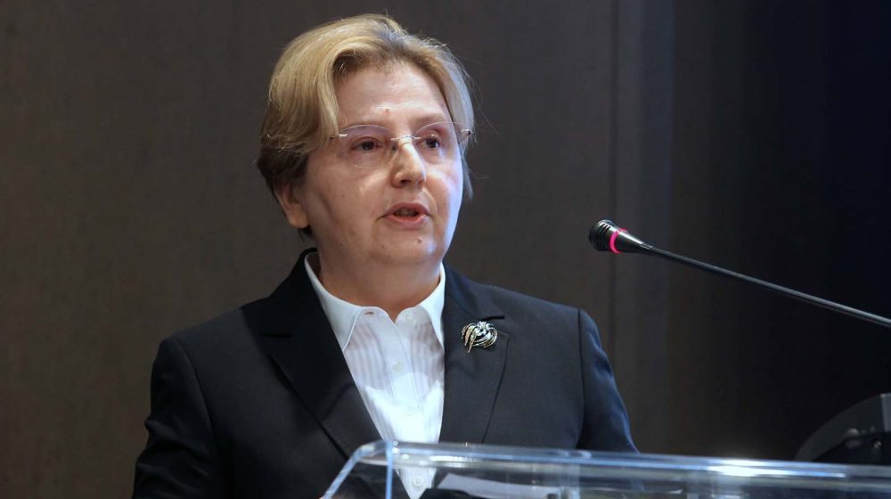 "Odbrana struke" traži reakciju Zagorke Dolovac 8