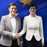 Kos i Kopman preneli Brnabić zabrinutost zbog pravosudnih zakona 5
