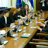 Poslanici: Dobri odnosi Srbije i Mađarske 4