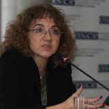 Džamonja Ignjatović: Država posle tragedija reagovala vidljivim i ad hoc merama, ali potrebna strategija 5