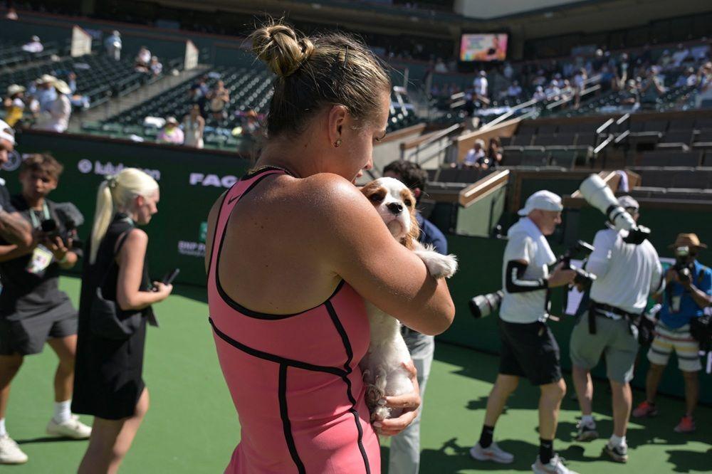 sabalenka i kuče