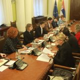 Brnabić sa delegacijom Saveta Evrope o izbornom procesu i poverenju u rad institucija 1