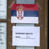 Majer Vifhausen: Lokalni izbori u 10 mesta pokazuju iznova nedostatke srpske demokratije 9