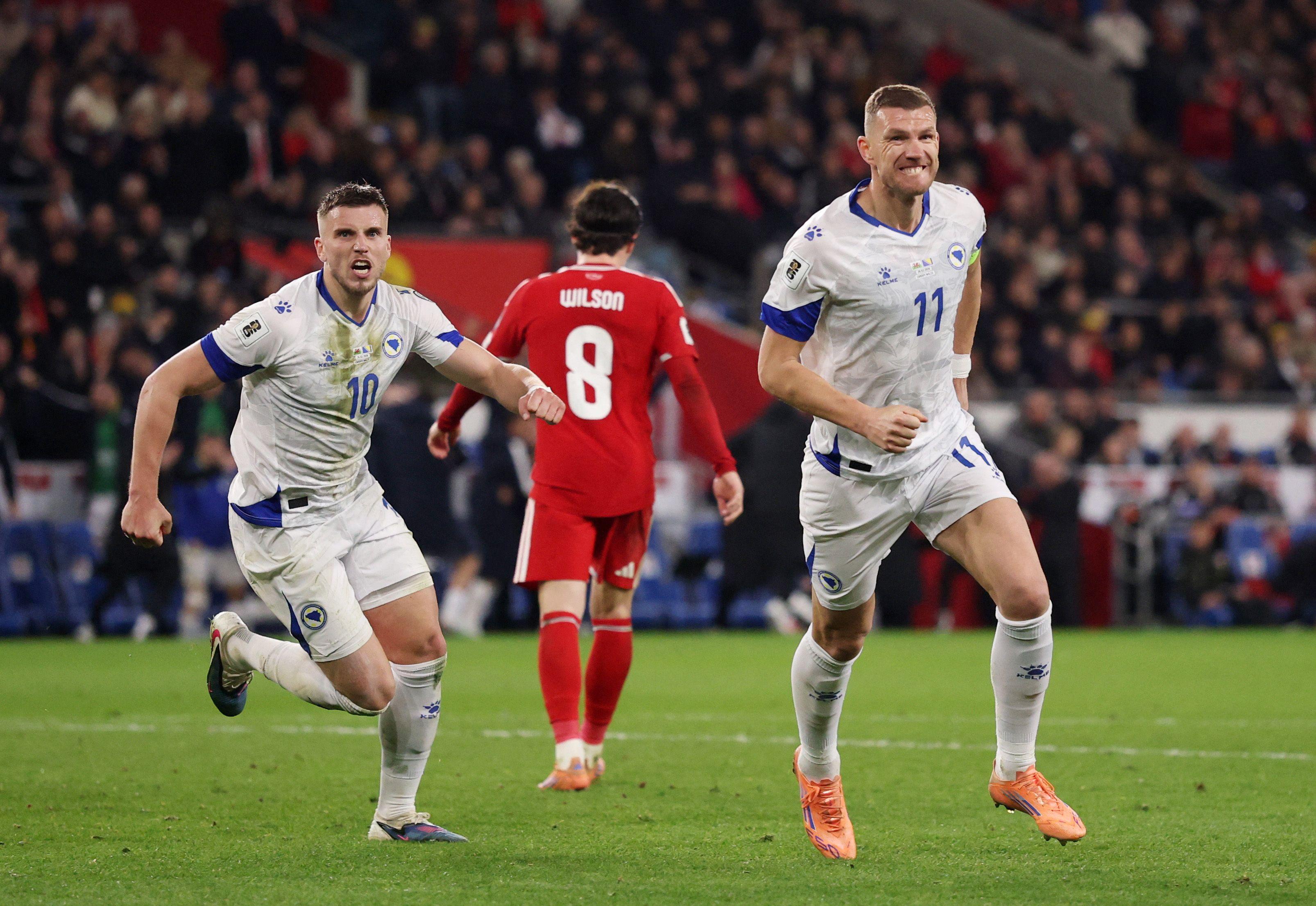 edin džeko, fudbalska reprezentacija bosne i hercegovine