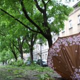 Nevreme u Hrvatskoj: Ima teško povređenih, škole u Zagrebu bez nastave (VIDEO) 4