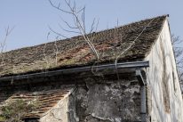 Prestonica kulture: U ovim prostorijama nastavu prate studenti Akademije umetnosti u Novom Sadu (FOTO) 5