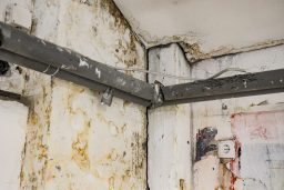Prestonica kulture: U ovim prostorijama nastavu prate studenti Akademije umetnosti u Novom Sadu (FOTO) 7