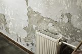 Prestonica kulture: U ovim prostorijama nastavu prate studenti Akademije umetnosti u Novom Sadu (FOTO) 11