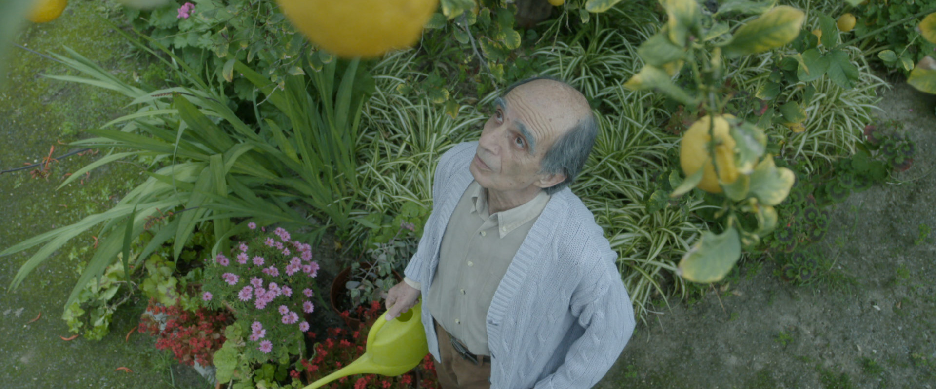 Beograd domaćin prvog festivala kiparskog filma 12. i 13. marta u Jugoslovenskoj kinoteci 4 Beograd domaćin prvog festivala kiparskog filma 12. i 13. marta u Jugoslovenskoj kinoteci 3