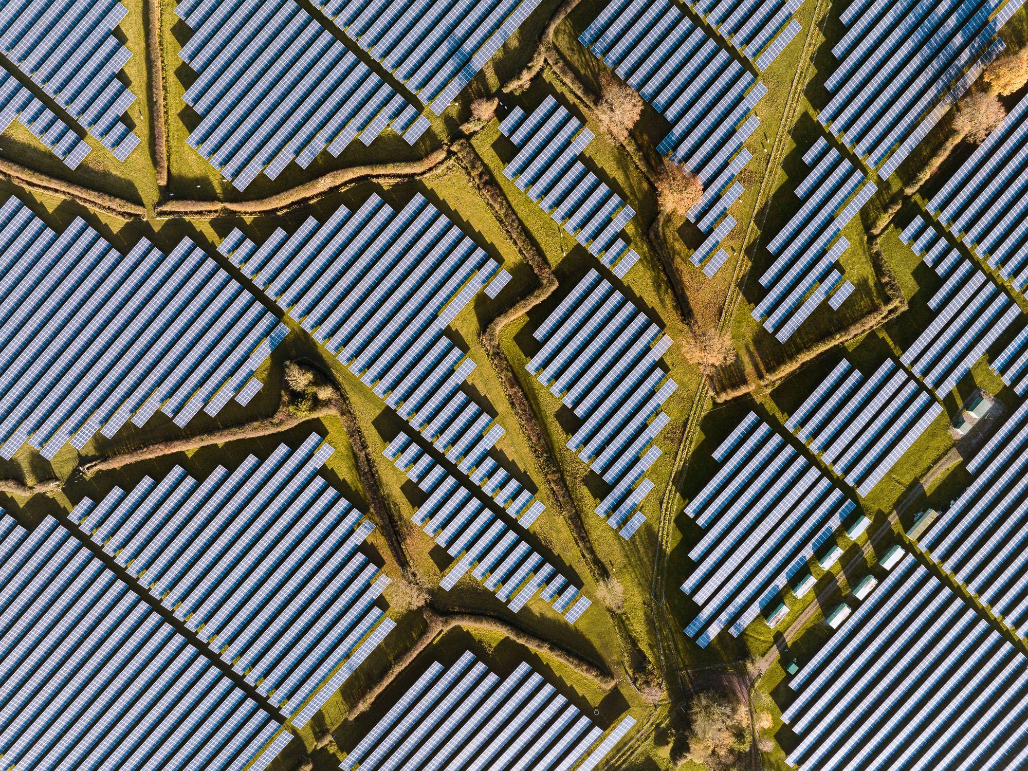 Razigrani ris, usnuli polarni medvedi, vrhunska kamuflaža: Najbolje fotografije prirode 21 Solarni paneli