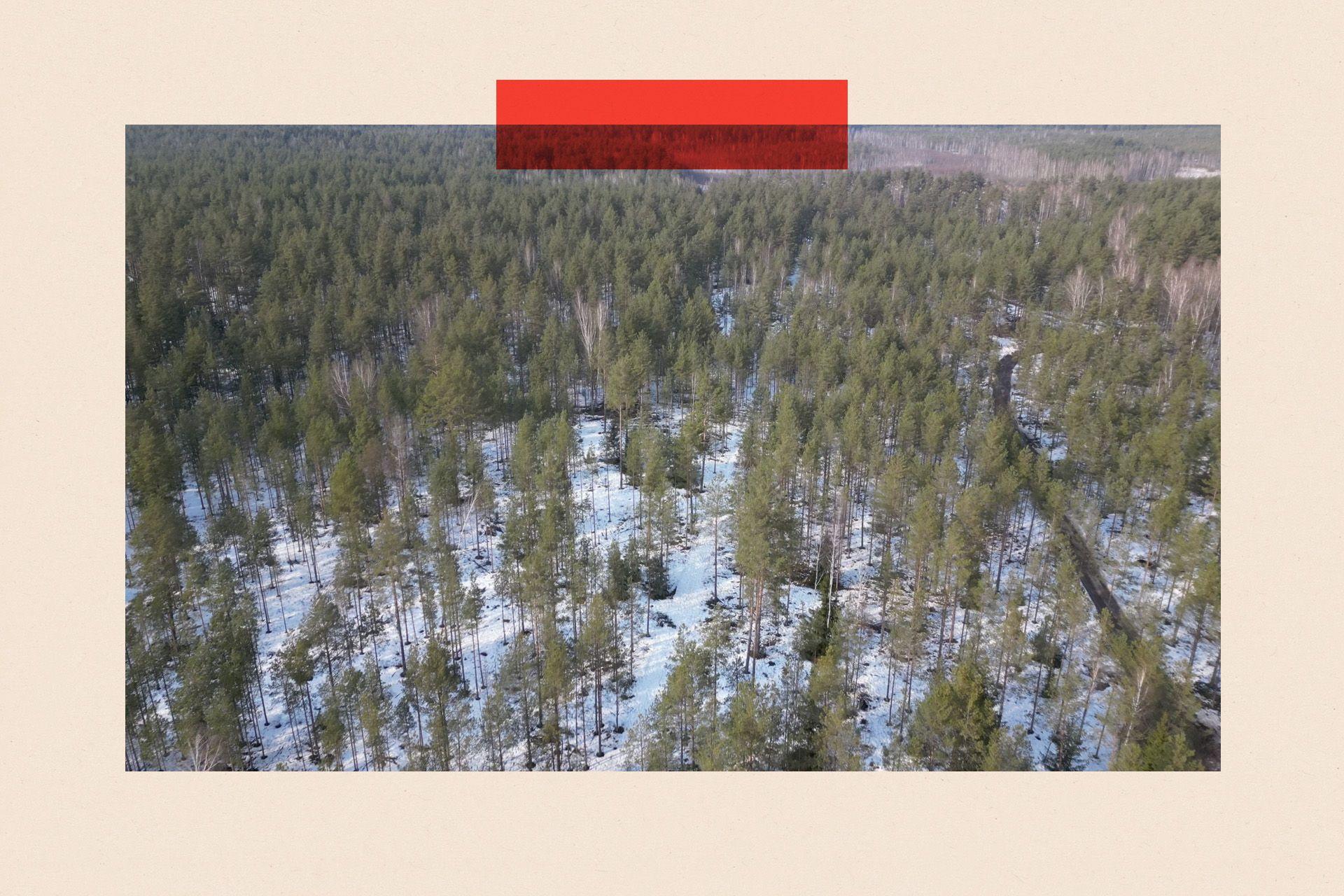 Zbog čega je nemačka vojska postala najvažnija u Evropi 5 predeo sa drvećem prekriven snegom
