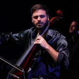 Hauser
