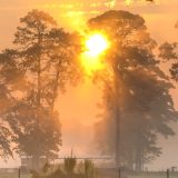 sunce