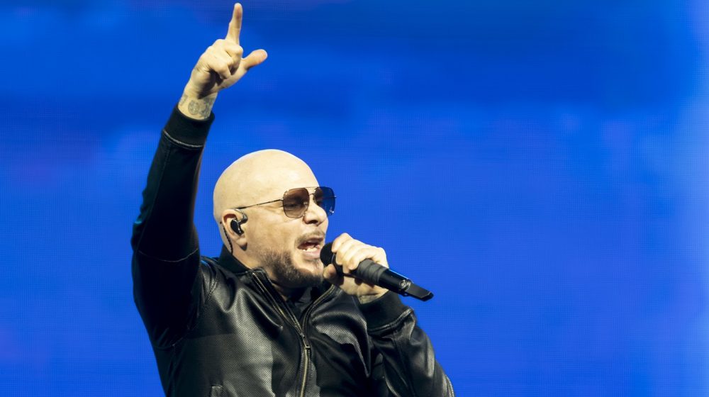 pitbull