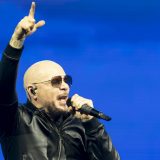 pitbull