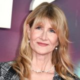Sony snima seriju o zločinima Džefrija Epstajna, glumiće Lora Dern 5