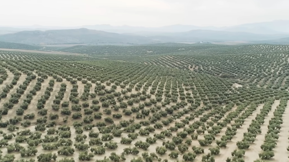 Kako je veliki zeleni zid u Kini pretvorio pustinju u skladište CO2 1