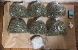 U okolini Novog Sada zaplenjeno 4,8 kilograma marihuane, uhapšeno dvoje 1