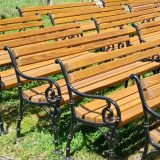 Opština Bečej odbija donaciju 42 parkovske klupe koje su želeli da joj poklone građani 2