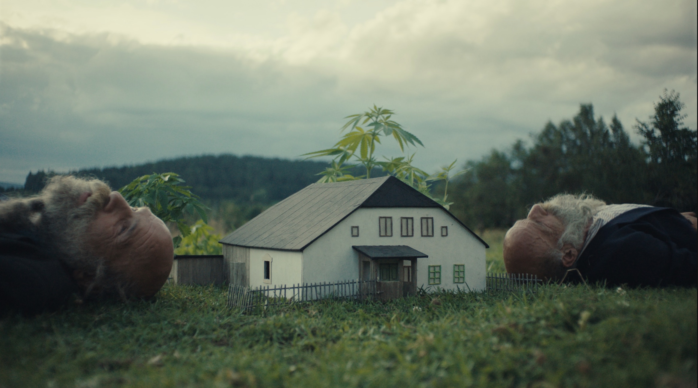 Specijalna selekcija Rumene Bužarovske na 19 Beldocs-u: Pet filmova između krize i nade 2 Specijalna selekcija Rumene Bužarovske na 19 Beldocs-u: Pet filmova između krize i nade 2