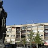 Grupa mladića maltretirala građane u centru Inđije: Pretresali ih, oduzimali im stvari, jedan momak odveden na krov zgrade 6