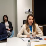 Đedović Handanović razgovarala sa delegacijom Državne naftne kompanije Azerbejdžana o izgradnji gasne elektrane kod Niša 4