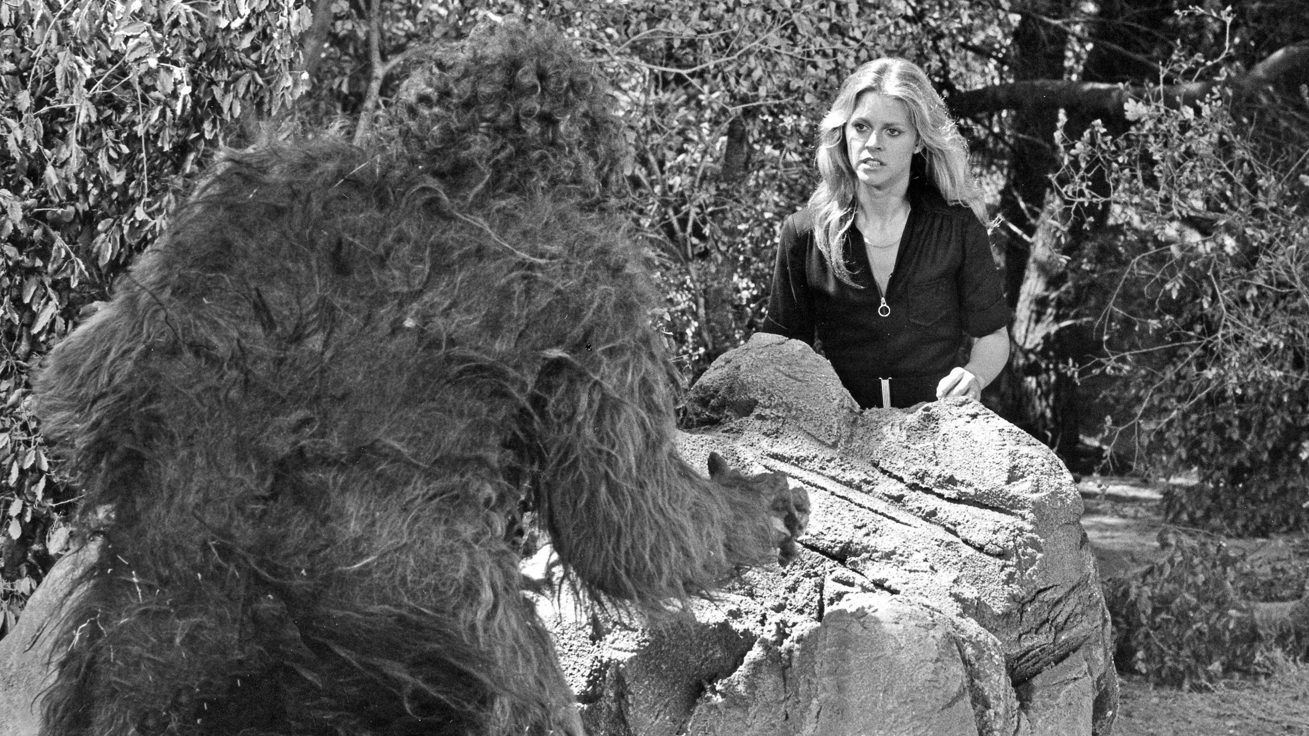 Misterija Bigfuta: Postoji li takvo stvorenje i ko su ljudi koji ga love 1 Crno-bela fotografija iz serije „Bionska žena“ „Povratak Bigfuta, drugi deo“ - druga sezona - 22.09.1976. Džejmi (Lindzi Vagner) je prikazana kako stoji iza velike stene koja je razdvaja od Bigfuta. Ima dugu plavu kosu, plave oči i zuri u Bigfuta. U prvom planu se vide leđa velikog dlakavog majmunolikog stvorenja Bigfuta.