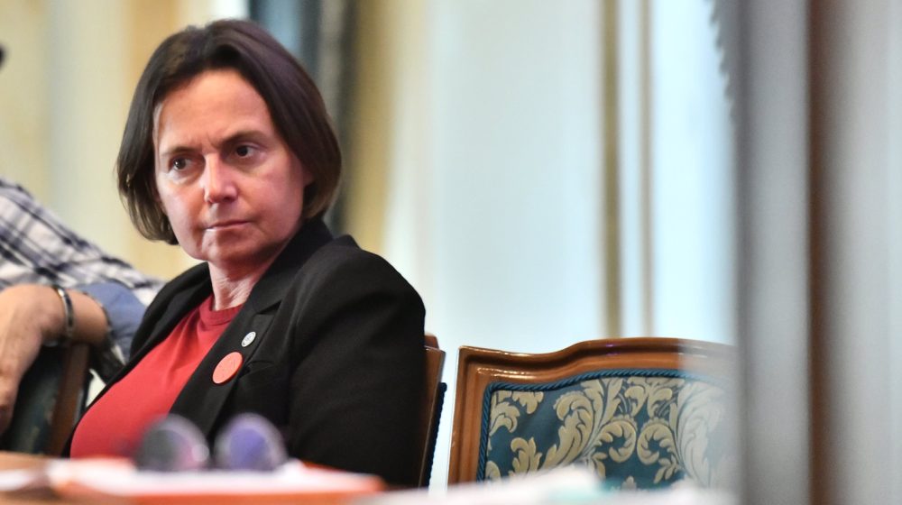 Ko je Estela Radonjić Živkov, stručnjakinja za kulturno nasleđe i glavni svedok na suđenju Selakoviću za Generalštab? 1