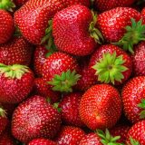 jagode