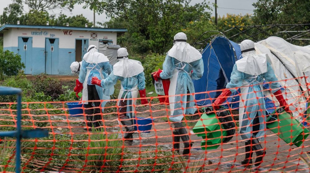 Ebola, Kongo