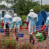 Ebola, Kongo