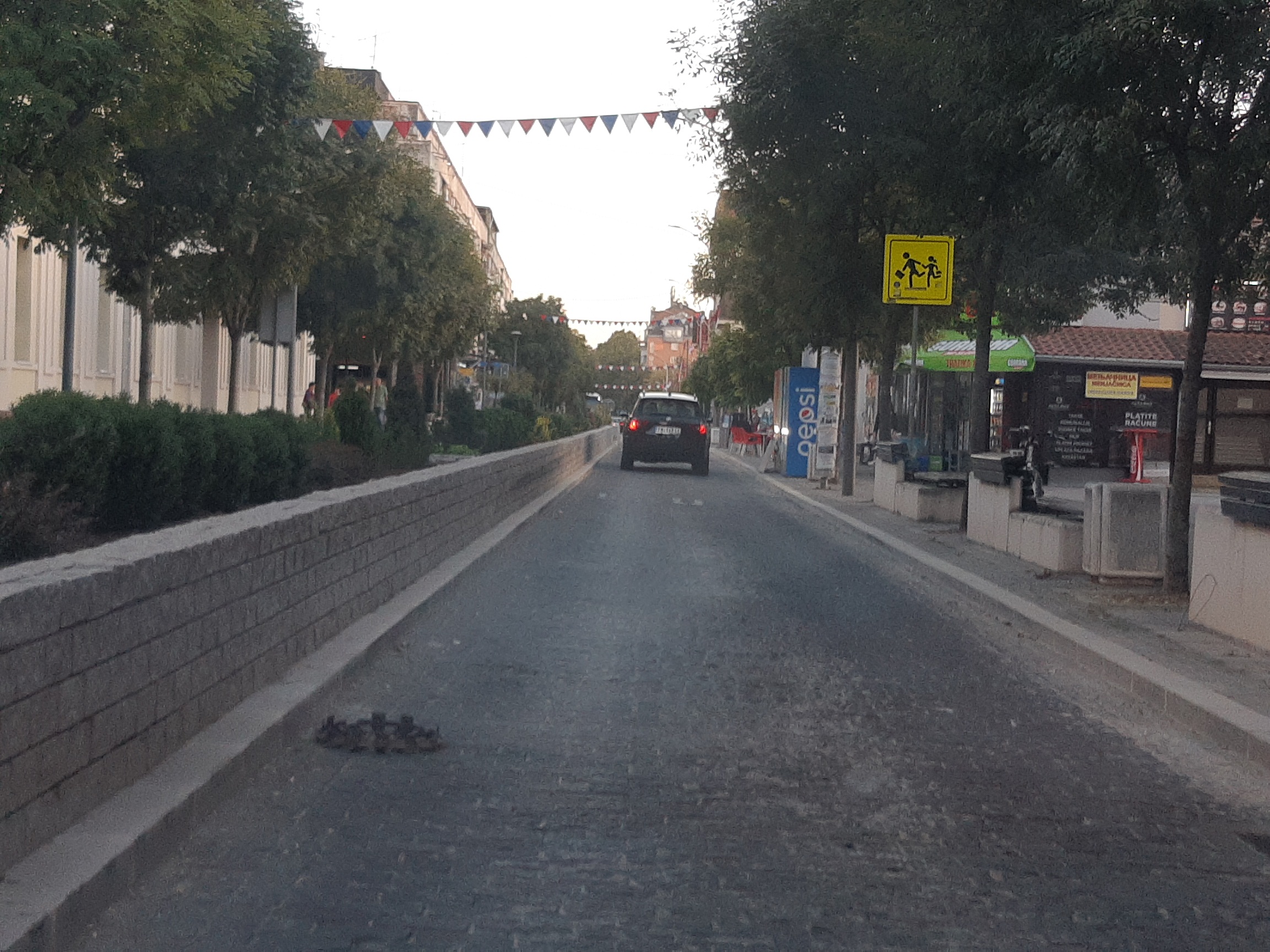 „Pobeda koju smo svi sanjali”: Građanska incijativa posle dve i po godine dokazala da je postavljanje kaldrme u Ćupriji nezakonito 3
