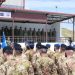 Oglasio se šef ruske službe o vojnoj veži Srbije i NATO 3