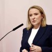Deo opozicije zatražio ostavku ministarke Snežane Paunović zbog govora mržnje prema Albancima 11
