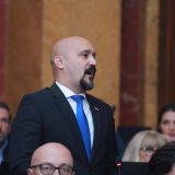 Skupština raspravlja o izbornim zakonima 5