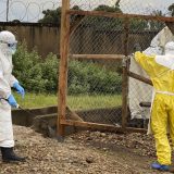 ebola, Kongo