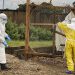 ebola, Kongo
