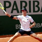 Alehandro Davidovič Fokina, Rolan Garos