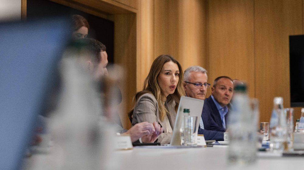 Đedović Handanović: Država zainteresovana za kupovinu vetroelektrane Plandište od NIS-a 1