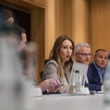 Đedović Handanović: Država zainteresovana za kupovinu vetroelektrane Plandište od NIS-a 4