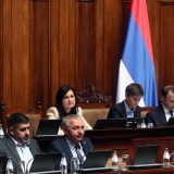 Usvojene izmene izbornih zakona: Šta to znači za birače u Srbiji 4