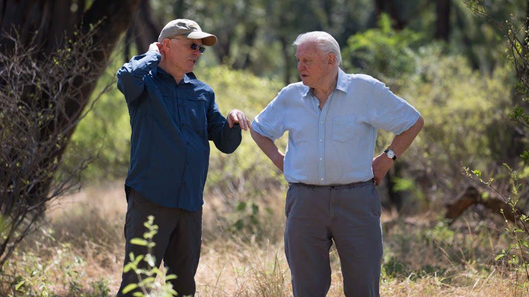 'Atenboro se nikada neće penzionisati': BBC producent Majk Ganton o legendarnom prirodnjaku 6 Dvojica prirodnjaka i kolega u Zimbabveu
