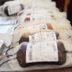 Institut: Nastavak akcije davanja krvi u Ulici Svetog Save 39 u Beogradu i na terenu 11