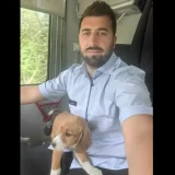 Zaječarac zaustavio voz da bi spasio štene 6