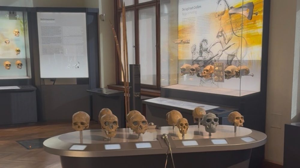 Izložba „Dobro sakupljanje - loše sakupljanje": Potraga za znanjem ili deo kolonijalne logike 1