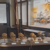 Izložba „Dobro sakupljanje - loše sakupljanje": Potraga za znanjem ili deo kolonijalne logike 4