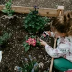 Baštenske leje, kućice za ptice: Pokrenuta kampanja da vrtići i škole dobiju "Naučno igralište" 10