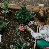 Baštenske leje, kućice za ptice: Pokrenuta kampanja da vrtići i škole dobiju "Naučno igralište" 4